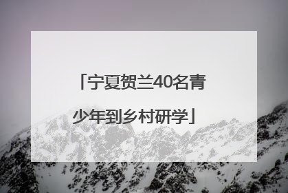 宁夏贺兰40名青少年到乡村研学
