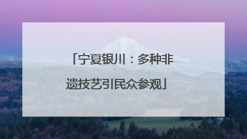 宁夏银川：多种非遗技艺引民众参观