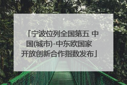 宁波位列全国第五 中国(城市)-中东欧国家开放创新合作指数发布