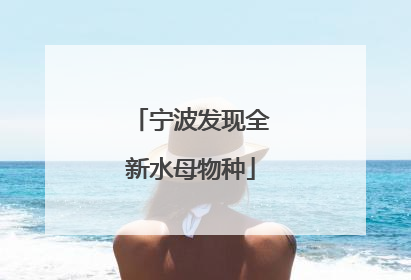 宁波发现全新水母物种