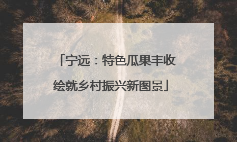 宁远：特色瓜果丰收绘就乡村振兴新图景