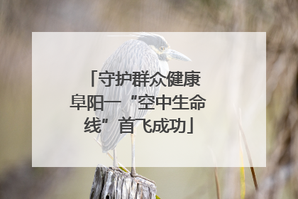 守护群众健康 阜阳一“空中生命线”首飞成功