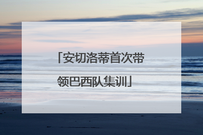安切洛蒂首次带领巴西队集训