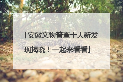 安徽文物普查十大新发现揭晓！一起来看看