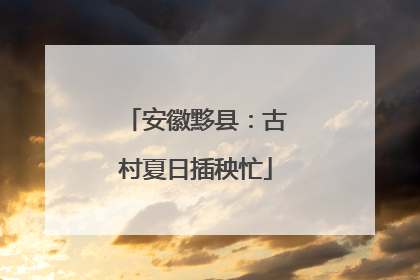 安徽黟县：古村夏日插秧忙