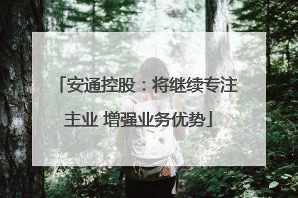 安通控股：将继续专注主业 增强业务优势