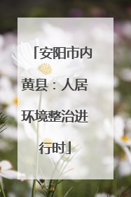 安阳市内黄县：人居环境整治进行时