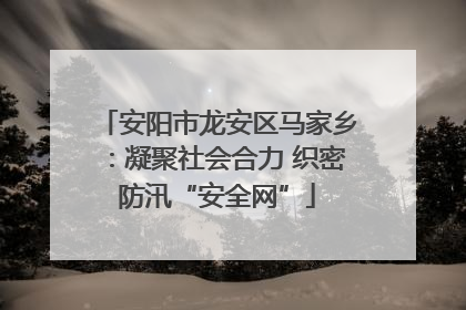 安阳市龙安区马家乡：凝聚社会合力 织密防汛“安全网”