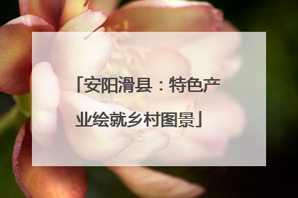安阳滑县：特色产业绘就乡村图景