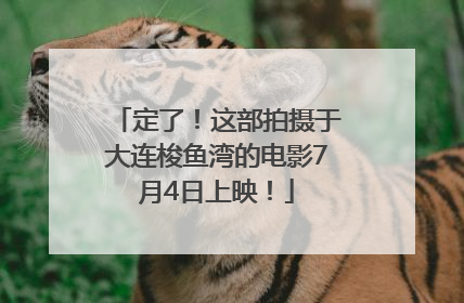 定了！这部拍摄于大连梭鱼湾的电影7月4日上映！