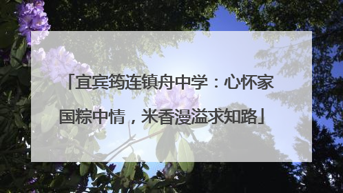 宜宾筠连镇舟中学：心怀家国粽中情，米香漫溢求知路