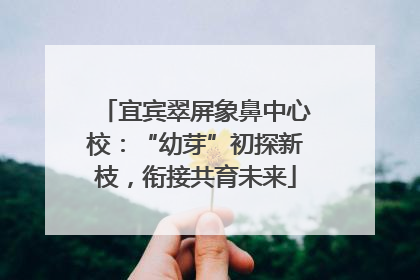 宜宾翠屏象鼻中心校：“幼芽”初探新枝，衔接共育未来