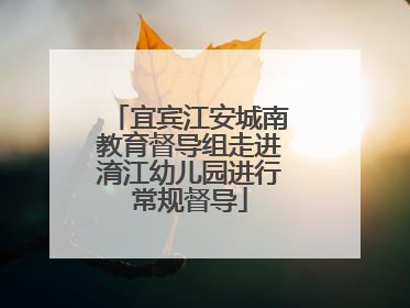 宜宾江安城南教育督导组走进淯江幼儿园进行常规督导