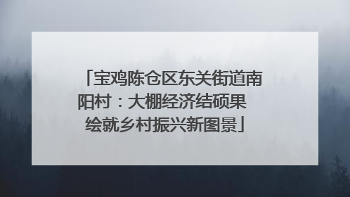 宝鸡陈仓区东关街道南阳村：大棚经济结硕果 绘就乡村振兴新图景