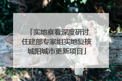 实地察看深度研讨 住建部专家组实地复核城阳城市更新项目