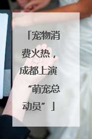 宠物消费火热，成都上演“萌宠总动员”