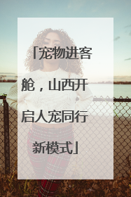 宠物进客舱，山西开启人宠同行新模式