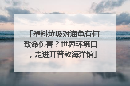 塑料垃圾对海龟有何致命伤害？世界环境日，走进开普敦海洋馆