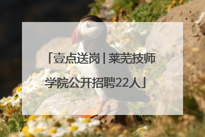 壹点送岗│莱芜技师学院公开招聘22人