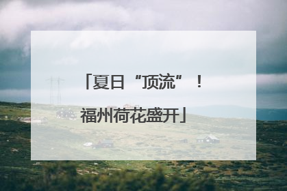 夏日“顶流”！福州荷花盛开