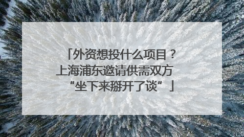 外资想投什么项目？上海浦东邀请供需双方“坐下来掰开了谈”