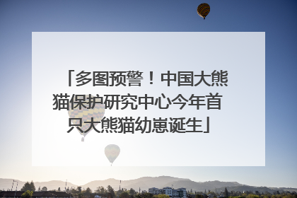 多图预警！中国大熊猫保护研究中心今年首只大熊猫幼崽诞生