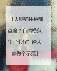 大熊猫体检都查啥？有请模范生“七仔”给大家做个示范