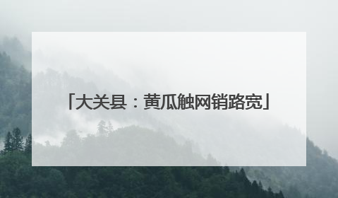 大关县：黄瓜触网销路宽