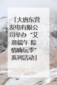 大唐东营发电有限公司举办“艾意端午 粽情嗨玩季”系列活动