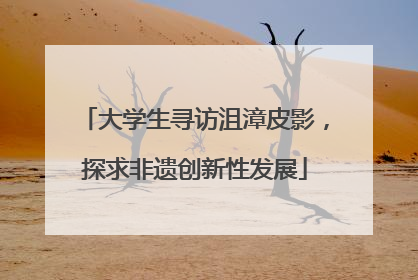 大学生寻访沮漳皮影，探求非遗创新性发展