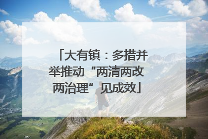 大有镇：多措并举推动“两清两改两治理”见成效
