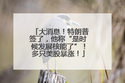 大消息！特朗普签了，他称“是时候发展核能了”！多只美股暴涨！