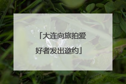 大连向旅拍爱好者发出邀约