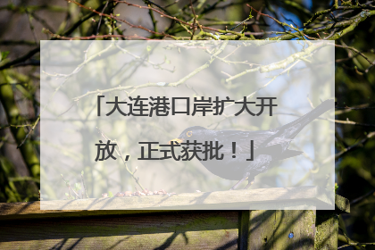 大连港口岸扩大开放，正式获批！