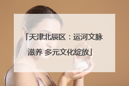 天津北辰区：运河文脉滋养 多元文化绽放