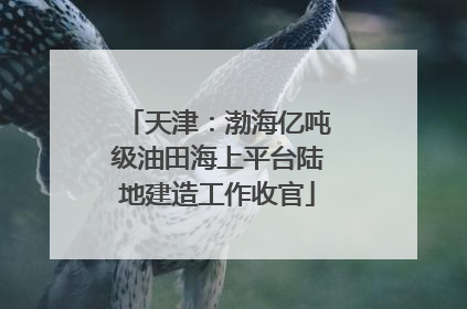 天津：渤海亿吨级油田海上平台陆地建造工作收官