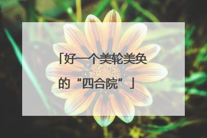 好一个美轮美奂的“四合院”