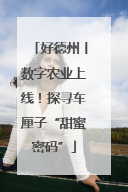 好德州丨数字农业上线！探寻车厘子“甜蜜密码”