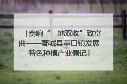 奏响“一地双收”致富曲——鄄城县董口镇发展特色种植产业侧记