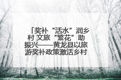 奖补“活水”润乡村 文旅“繁花”助振兴——黄龙县以旅游奖补政策激活乡村振兴新动能