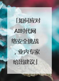 如何应对AI时代网络安全挑战，业内专家给出建议