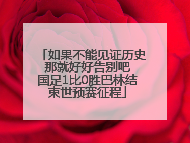 如果不能见证历史 那就好好告别吧 国足1比0胜巴林结束世预赛征程
