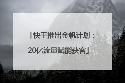 快手推出金帆计划：20亿流量赋能获客