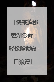 快来莲都碧湖赏荷 轻松解锁夏日浪漫