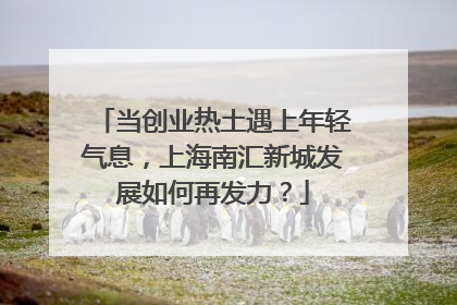 当创业热土遇上年轻气息，上海南汇新城发展如何再发力？