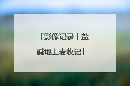 影像记录丨盐碱地上麦收记