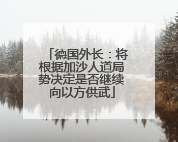 德国外长：将根据加沙人道局势决定是否继续向以方供武