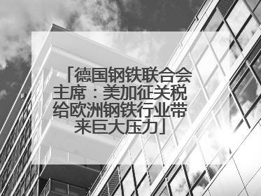 德国钢铁联合会主席：美加征关税给欧洲钢铁行业带来巨大压力
