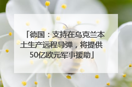 德国：支持在乌克兰本土生产远程导弹，将提供50亿欧元军事援助