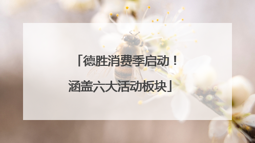 德胜消费季启动！涵盖六大活动板块